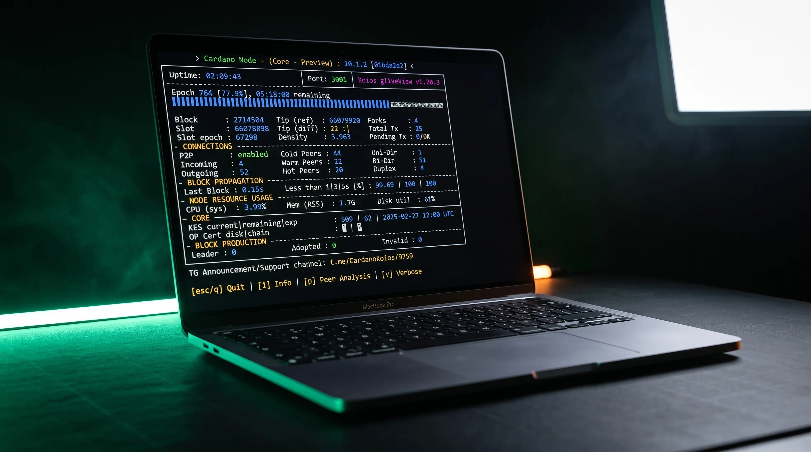 Cardano Node